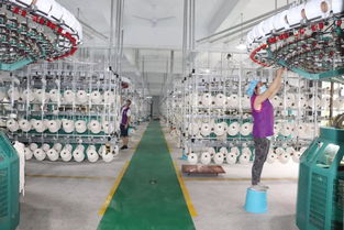 麗富藝集團各生產廠工作動態(tài)